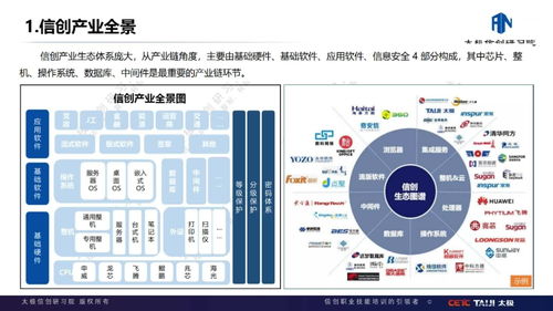信创生态体系中的芯片与软件开发